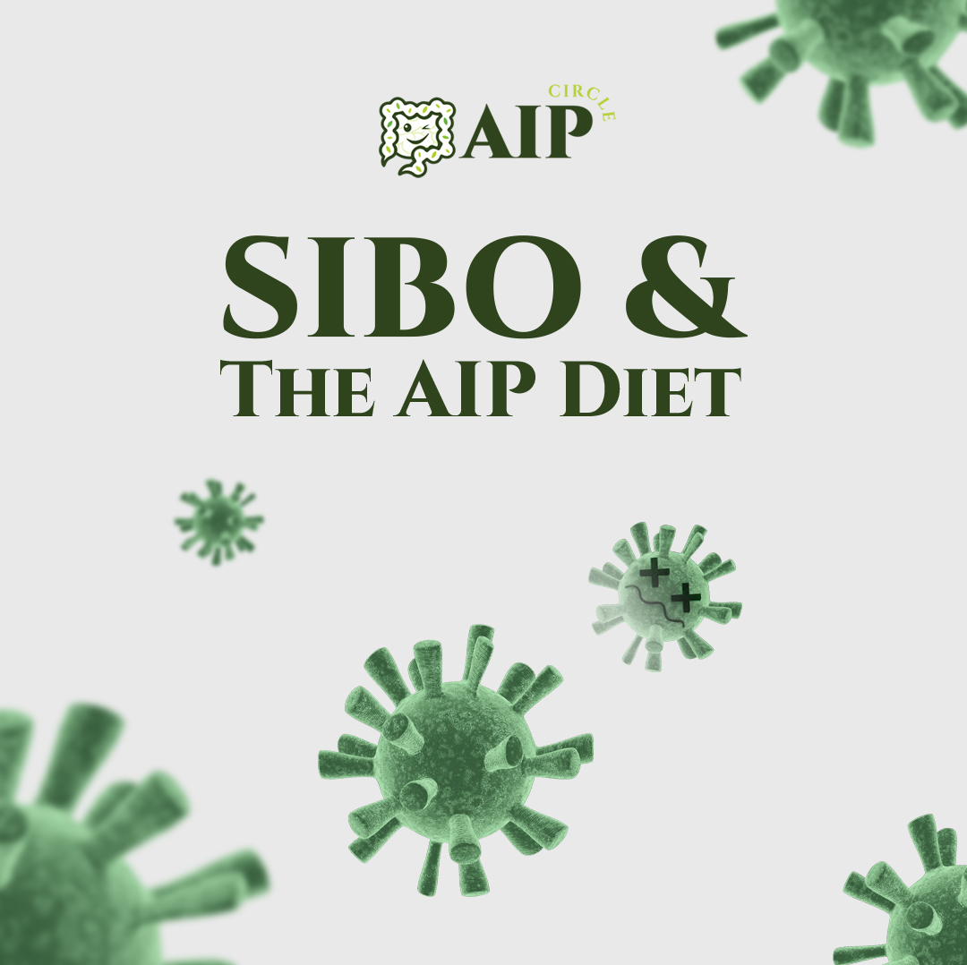 sibo en the aip diet